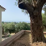 Olive Stone Villa