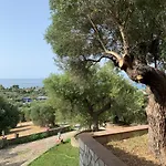 Villa Olive Stone