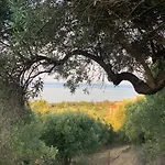 Olive Stone Villa