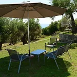 Villa Olive Stone *