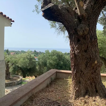 Olive Stone Villa