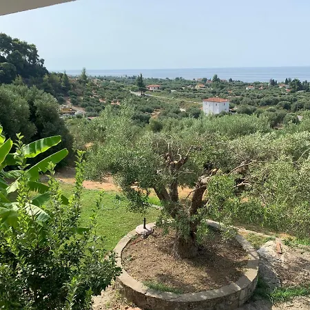 Villa Olive Stone *