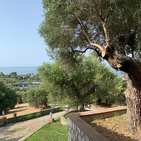 Villa Olive Stone