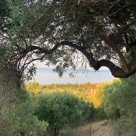Olive Stone Villa