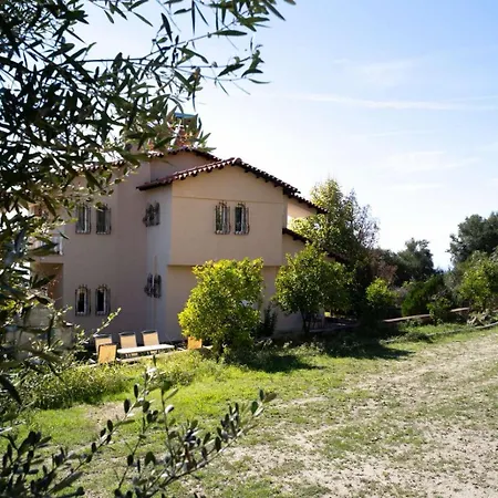 Villa Olive Stone Nea Skioni