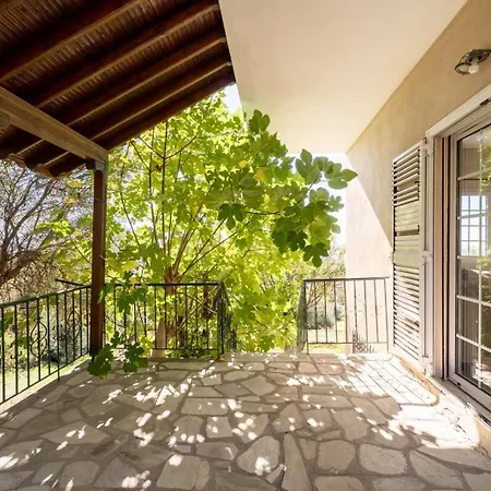 Olive Stone * ネア・スキオニ