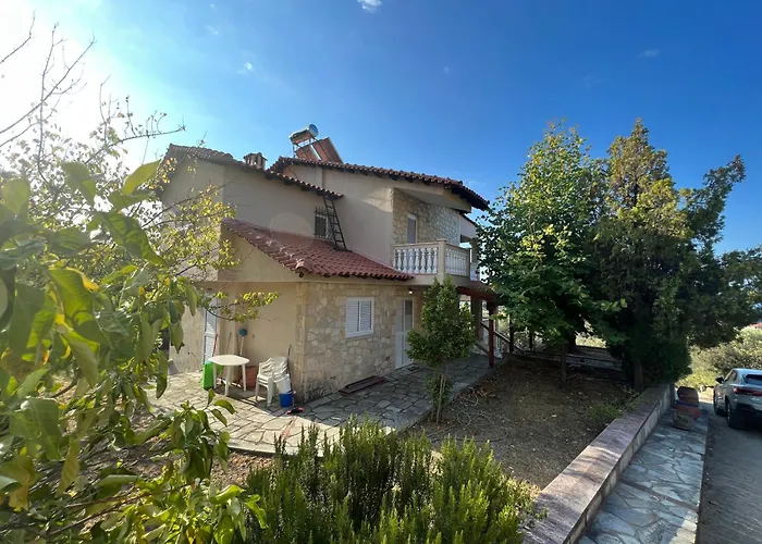 Olive Stone * Nea Skioni