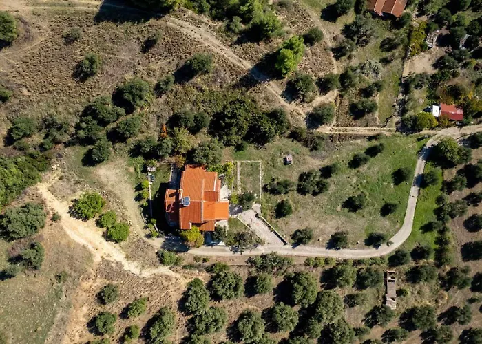 Villa Olive Stone Nea Skioni