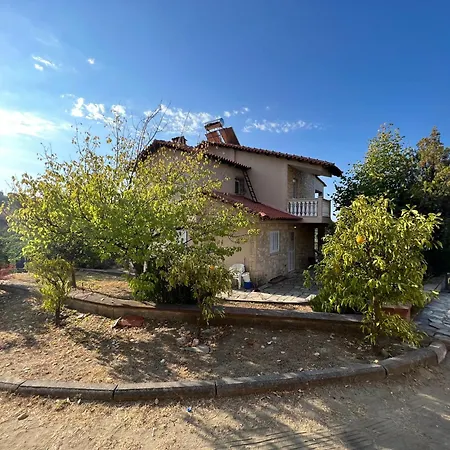 Olive Stone * Nea Skioni