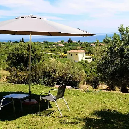 Olive Stone * Nea Skioni