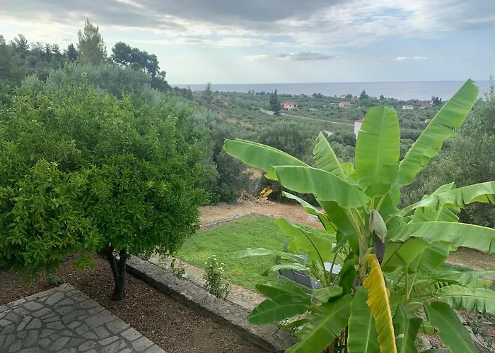 Olive Stone Villa Nea Skioni