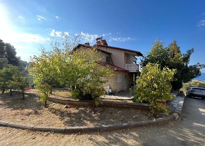 Olive Stone * Nea Skioni